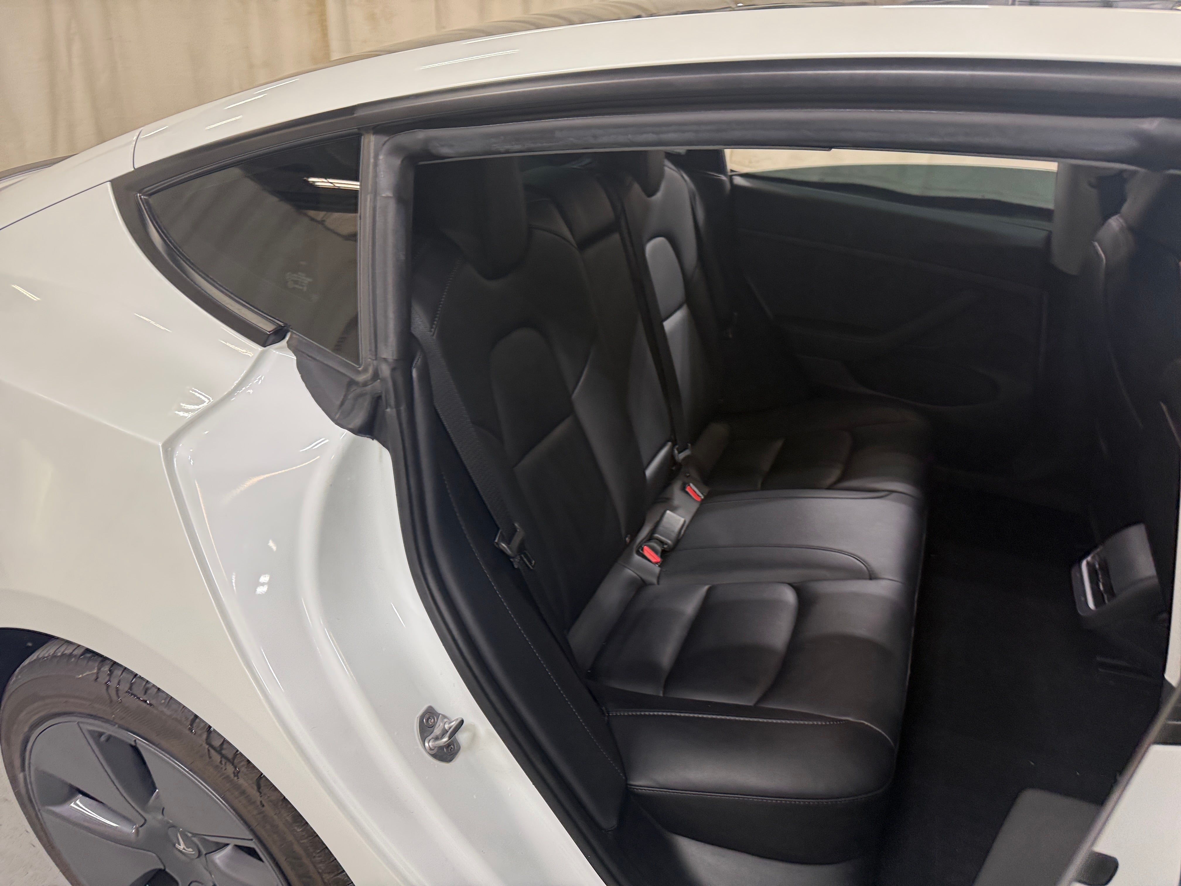 tesla model 3 2023 5YJ3E1EA2PF482987 image tesla model 3 2023 5YJ3E1EA2PF482987 image